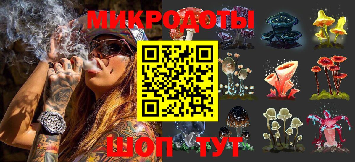 Галлюциногенные грибы GOLDEN TEACHER  Вход с VPN  Ревда  где найти наркотики  Галлюциногенные грибы Magic Shrooms 